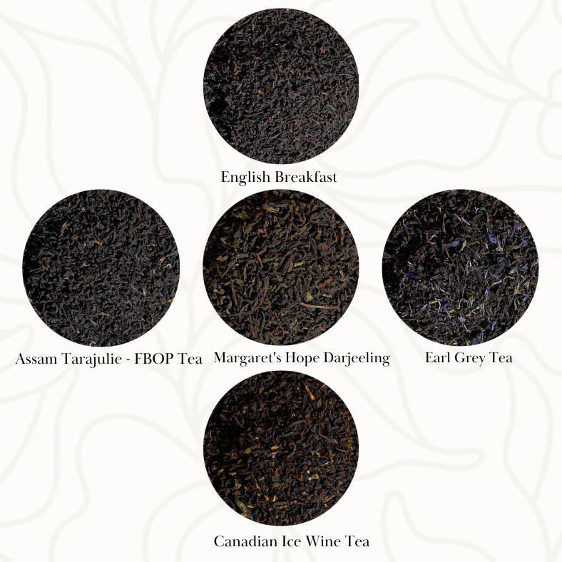 Classic Black Tea Sampler Collection Gift Set