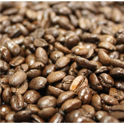 Holiday Coffee Sampler